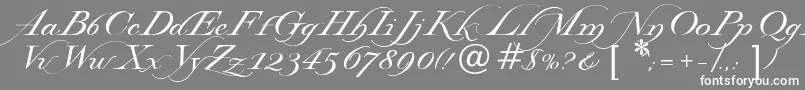 フォントLysandria – 灰色の背景に白い文字