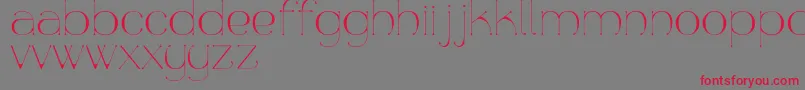 Aquapura Font – Red Fonts on Gray Background