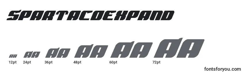 Размеры шрифта Spartacoexpand