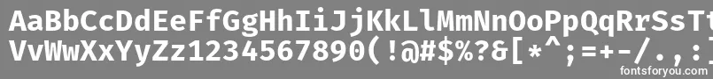 フォントFiramonoBold – 灰色の背景に白い文字