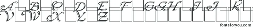Wrenn Initials Shadowed-fontti – Alkavat W:lla olevat fontit