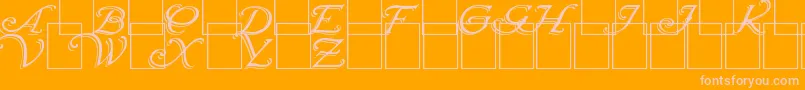 Wrenn Initials Shadowed Font – Pink Fonts on Orange Background