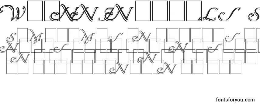 Обзор шрифта Wrenn Initials Shadowed