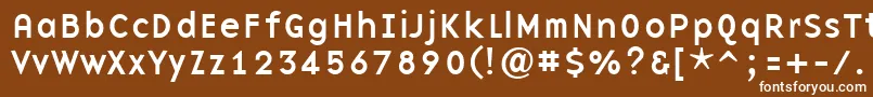 フォントBasenineRegular – 茶色の背景に白い文字