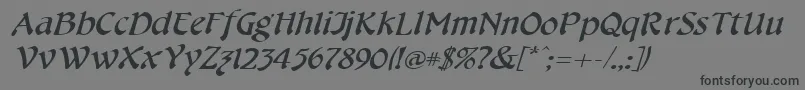 フォントCheshirebroadItalic – 黒い文字の灰色の背景