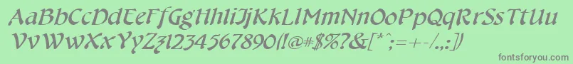 CheshirebroadItalic Font – Gray Fonts on Green Background