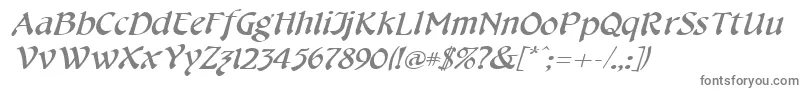 CheshirebroadItalic Font – Gray Fonts