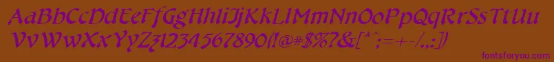 CheshirebroadItalic Font – Purple Fonts on Brown Background