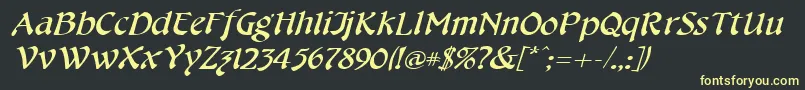 CheshirebroadItalic Font – Yellow Fonts on Black Background