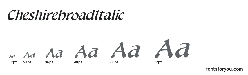 Размеры шрифта CheshirebroadItalic