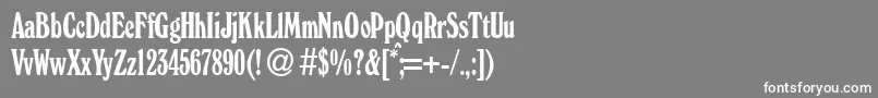 フォントWindsorcondBoldDb – 灰色の背景に白い文字