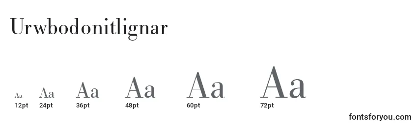 Размеры шрифта Urwbodonitlignar