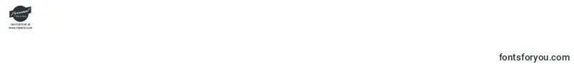 PrimescriptPersonalUse Font – Fonts for Digit 6