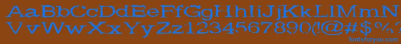 Widenoise Font – Blue Fonts on Brown Background