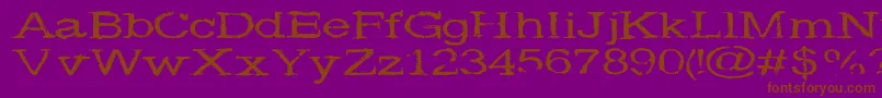 Widenoise Font – Brown Fonts on Purple Background
