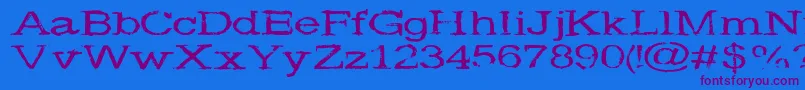 Widenoise Font – Purple Fonts on Blue Background
