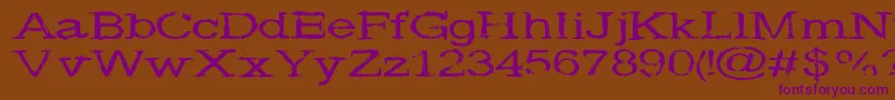 Widenoise Font – Purple Fonts on Brown Background