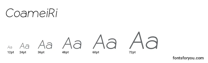 CoameiRi Font Sizes