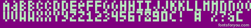 ShelterCode Font – Green Fonts on Purple Background