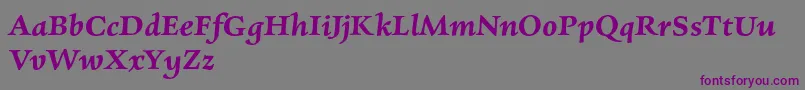 CharpentierrenredDemiobl Font – Purple Fonts on Gray Background