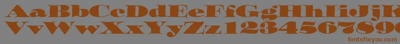 Шрифт OzwaldItcTt – коричневые шрифты на сером фоне