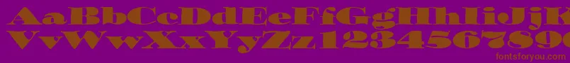 OzwaldItcTt Font – Brown Fonts on Purple Background