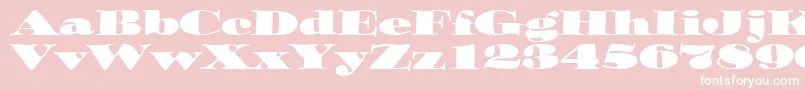 OzwaldItcTt Font – White Fonts on Pink Background