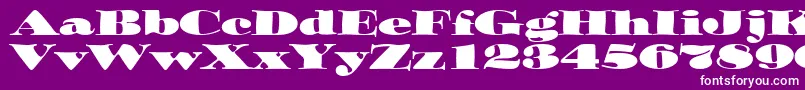 OzwaldItcTt Font – White Fonts on Purple Background