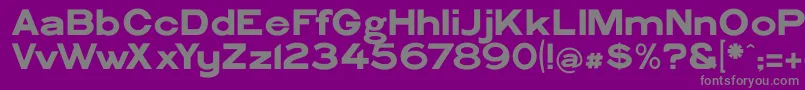 PhiladelphianGothic Font – Gray Fonts on Purple Background