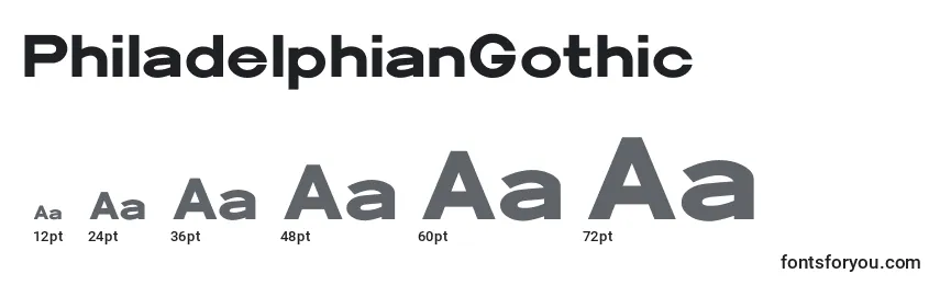 PhiladelphianGothic Font Sizes