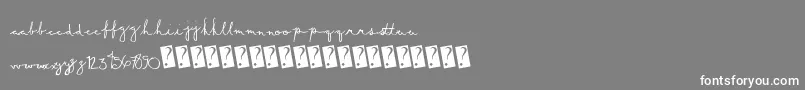 フォントSummerscript – 灰色の背景に白い文字