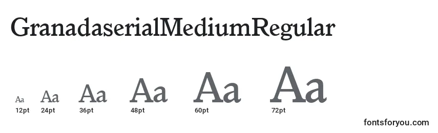 Размеры шрифта GranadaserialMediumRegular