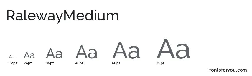 RalewayMedium Font Sizes