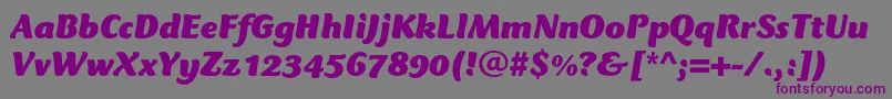CtmercuriusstdBlackitalic Font – Purple Fonts on Gray Background