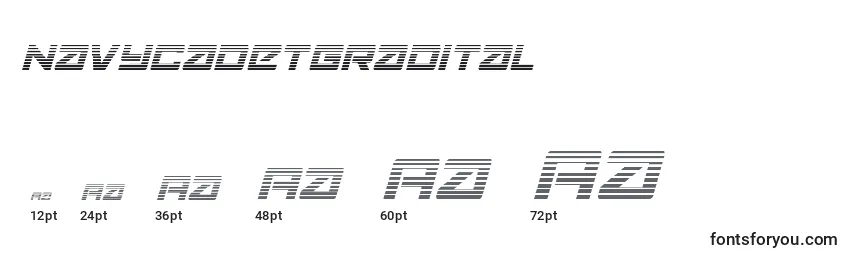 Navycadetgradital Font Sizes