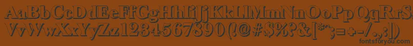 BaskeroldshadowHeavyRegular Font – Black Fonts on Brown Background