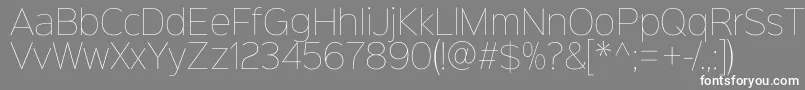 Sinkinsans100thin Font – White Fonts on Gray Background