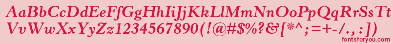 HorleyoldstylemtstdBoldit Font – Red Fonts on Pink Background