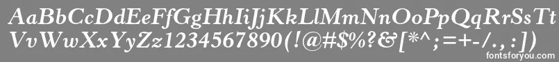 HorleyoldstylemtstdBoldit Font – White Fonts on Gray Background