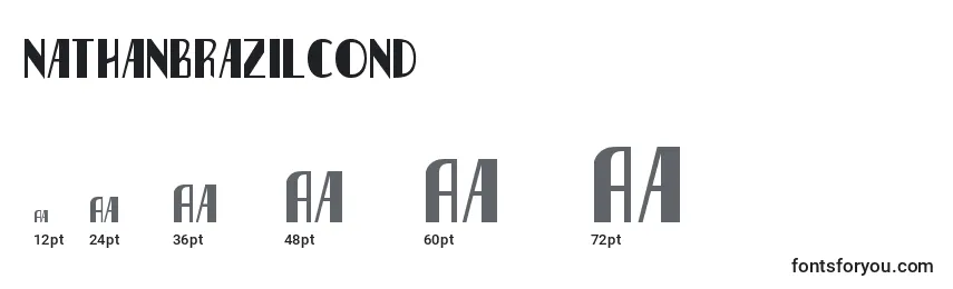 Nathanbrazilcond Font Sizes