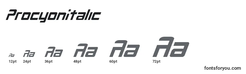 Размеры шрифта ProcyonItalic