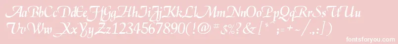 DanielaRegular Font – White Fonts on Pink Background