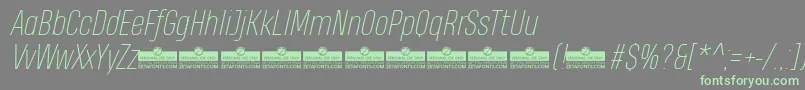 HeadingProThinItalicTrial Font – Green Fonts on Gray Background