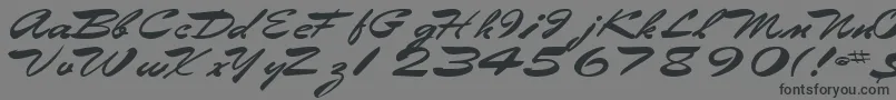 フォントEggshell61Bold – 黒い文字の灰色の背景