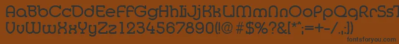 MediaSerialRegularDb Font – Black Fonts on Brown Background