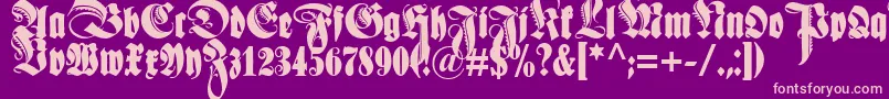 Schmaleanzeigenschriftzier Font – Pink Fonts on Purple Background