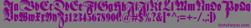 Schmaleanzeigenschriftzier Font – Purple Fonts on Gray Background