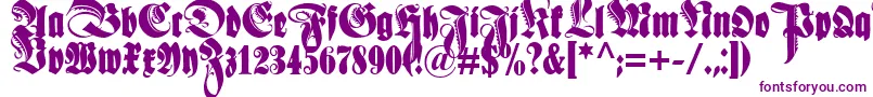 Schmaleanzeigenschriftzier-Schriftart – Violette Schriften auf weißem Hintergrund