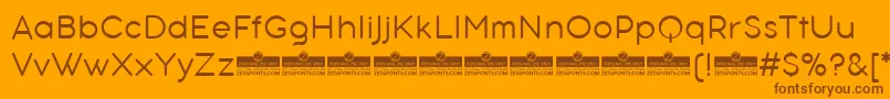 AristotelicaTextLightTrial Font – Brown Fonts on Orange Background