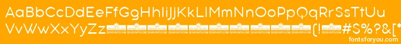 AristotelicaTextLightTrial-Schriftart – Weiße Schriften auf orangefarbenem Hintergrund